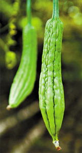 品味臺灣風(fēng)情，臻享健康生活——北京璽盛商貿(mào)的臺灣美食與有機佳品